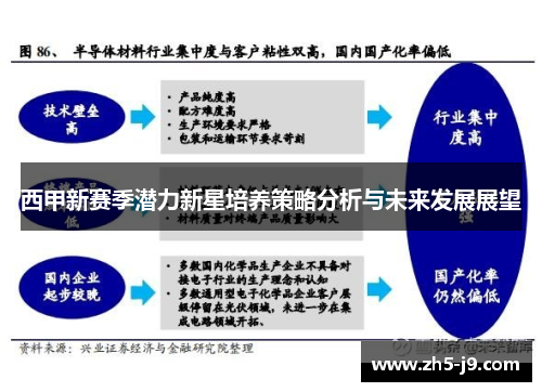 西甲新赛季潜力新星培养策略分析与未来发展展望