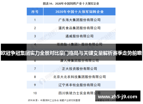 欧冠争冠集团实力全景对比豪门格局与关键变量解析赛季走势前瞻