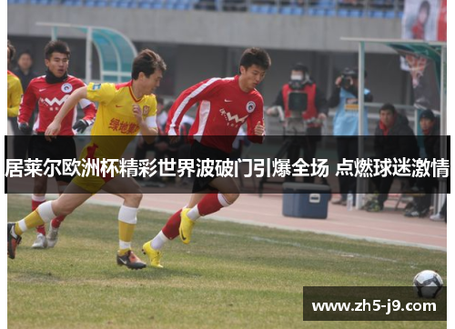 居莱尔欧洲杯精彩世界波破门引爆全场 点燃球迷激情
