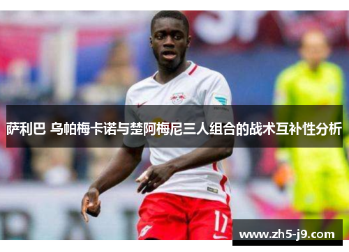 萨利巴 乌帕梅卡诺与楚阿梅尼三人组合的战术互补性分析
